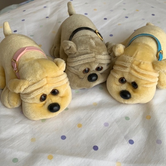 ❤️‍🔥 Two wrinkly faced puppies - Picture 2 of 8